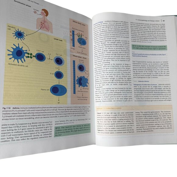 Exploring Immunology Concepts And Evidence By Gordon McPherson & Jon Austyn HC - Picture 15 of 16